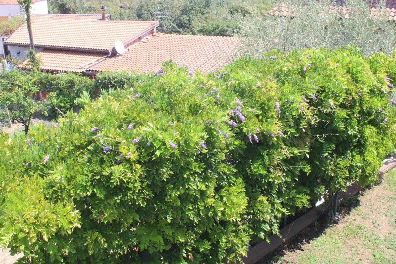 Villa Sicilia Apartment CTA Eksteriør bilde